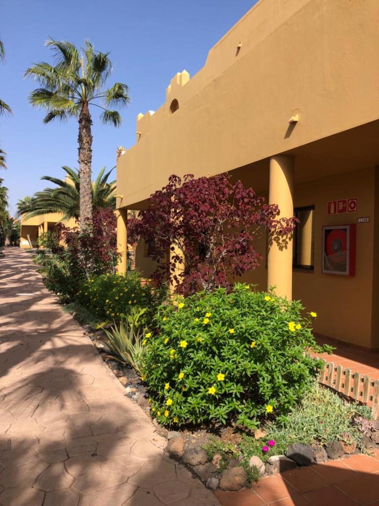 Casa Alice Apartment Corralejo Ngoại thất bức ảnh